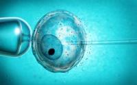 冻胚移植前有哪些注意事项?