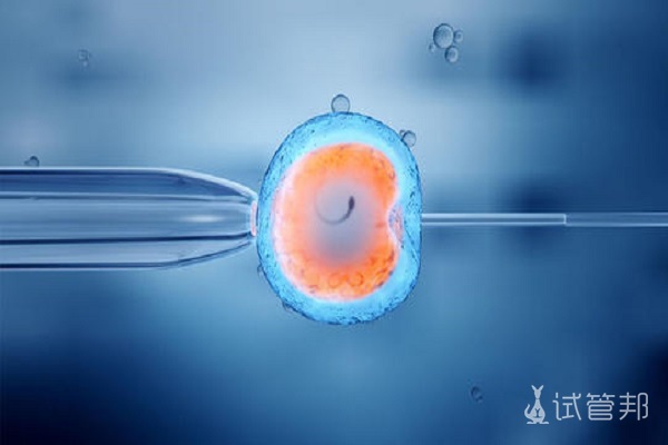 691691ba0f9e3f122e458e8ed91c3840.jpg 高龄做三代试管婴儿成功率高吗