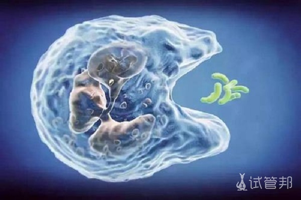 6b0c69d4562a4ce2ba014bb1fcf19ec3.jpg 人体内的前列腺素有什么作用