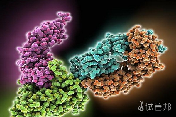 6f47c0dfd8f7b8f8fe2e69233f32abc7.jpg 前列腺素在人体内有什么作用