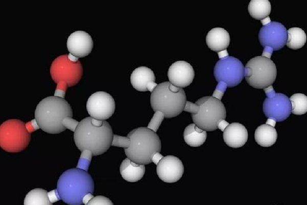L-精氨酸是什么？