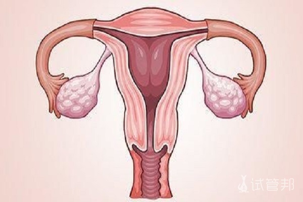 子宫内膜厚度多少正常？