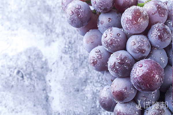 9ca84d04f56491d61954b7d6b016883f.jpg 葡萄有哪些功效