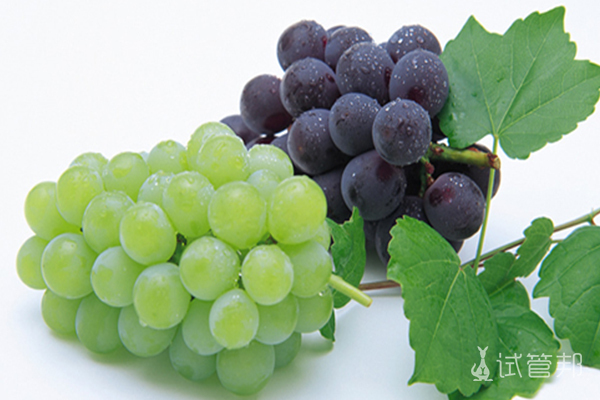 f9d8541751cd595a86c429be7f8749de.jpg 月经期间能吃葡萄吗