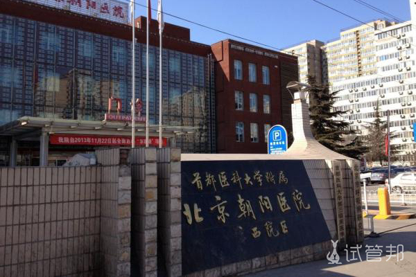 北京朝阳医院试管婴儿技术怎么样