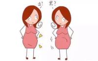 怀男孩的早孕表现有哪些？
