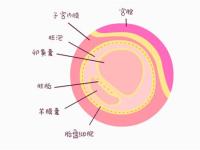 孕八周卵黄囊3mm正常吗？