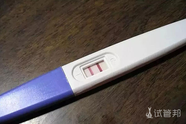 验孕棒多久才能测出是否怀孕