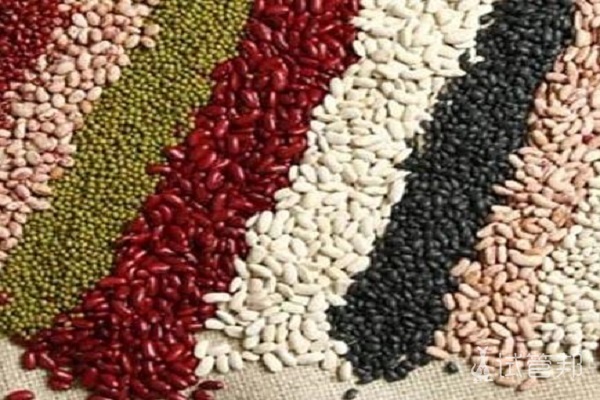 4738e49bc83941104148784e568251cb.jpg 有卵泡不排卵怎么通过饮食调理?