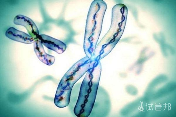 9号染色体三体是精子问题导致的吗