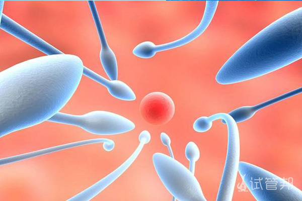 63037df4cfc5005472d98ff7dc72f596.jpg 没有输卵管能做试管婴儿吗