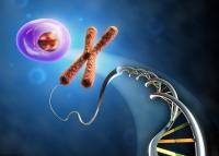 染色体畸形可以生育吗？