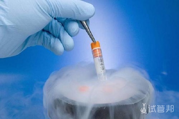 试管婴儿胚胎移植着床会有什么反应？