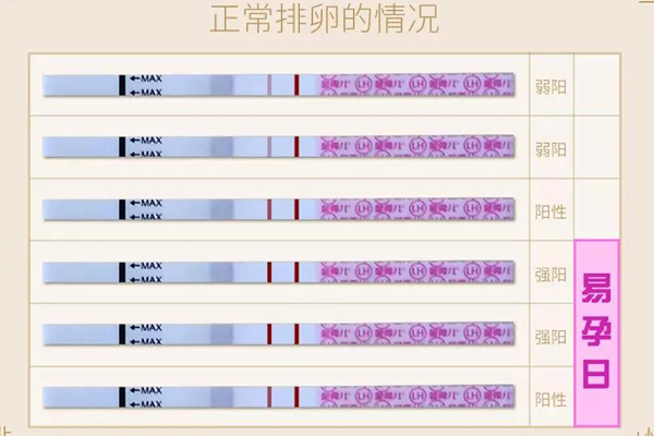 6f9c4d642800c7c1e5f2a9c0314ebe19.jpg 女性记录基础体温