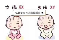 云南做试管婴儿可以选择性别吗？