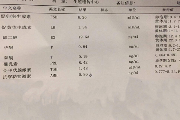 高龄试管婴儿移植成功