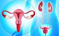 卵巢炎怎么检查出来？
