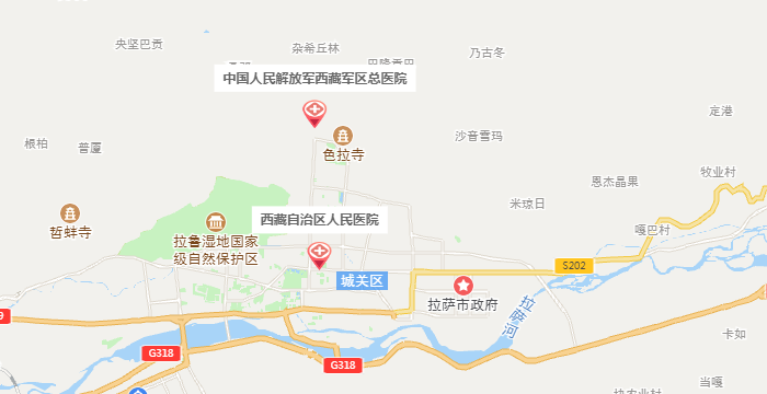 西藏试管婴儿医院地图