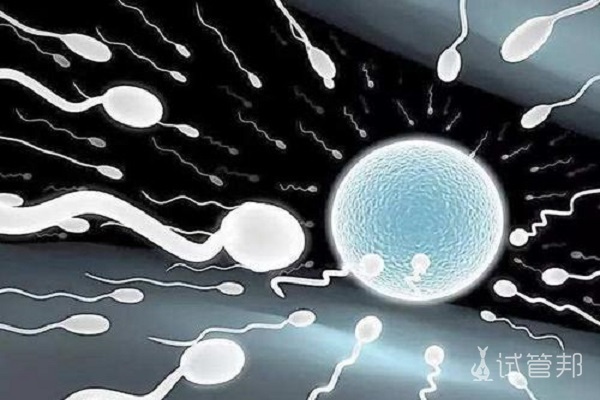 胚胎移植失败原因是胚胎等级低？