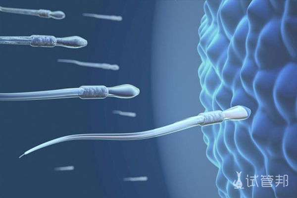 44bd98dc527c197f7c2dc28c853057c2.jpg 什么是弱精症