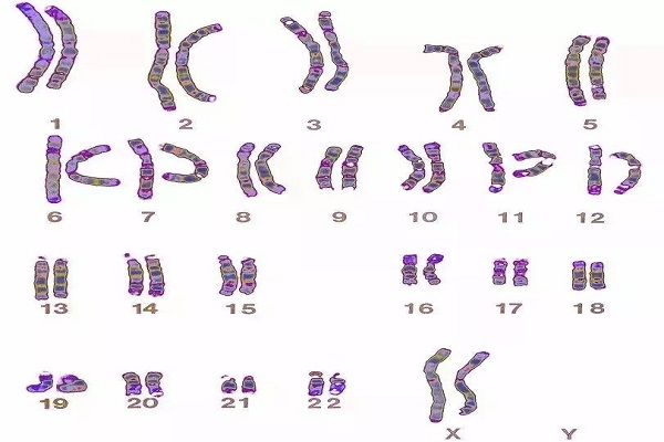 051fe0acb9000e5d71ed2ce69a218e0d.jpg 三代试管婴儿中,PGD和PGS哪个好?