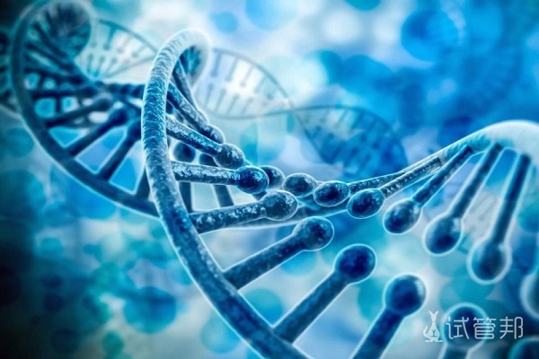 72be08bb03c8aaf76cf6fdffb2a39334.jpg 三代试管婴儿中,PGD和PGS有什么区别?