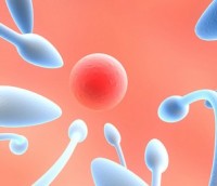 做精子活力检测挂哪个科？