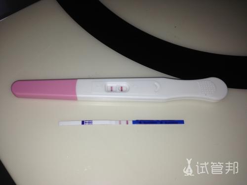 3771c905b4fac8a051db4e9b627c2f05.jpg 试管婴儿移植后验孕结果