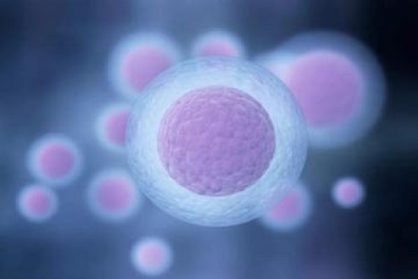 多次胚胎停育的夫妻需要如何备孕