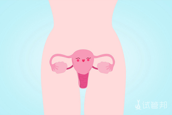 输卵管堵塞会影响试管婴儿取卵吗