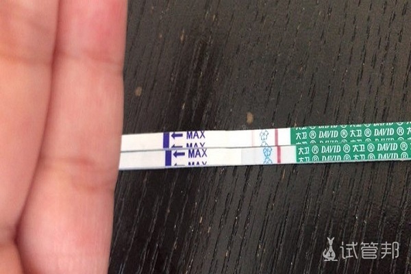 fe2a1b8bd2b93c45746aac2cdc9c436a.jpg 试管婴儿移植后验孕