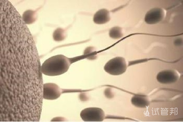 怎么知道精子有没有进入？