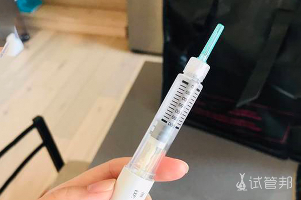 e2bcec8a0141e982767e3d24ecbbae10.jpg 试管婴儿促排卵期间要注意什么