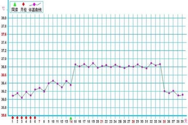 女性怀孕阶段的基础体温表曲线变化情况？