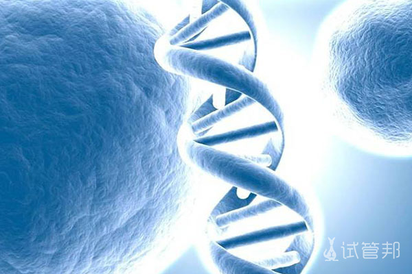 试管婴儿基因筛查的目的是什么