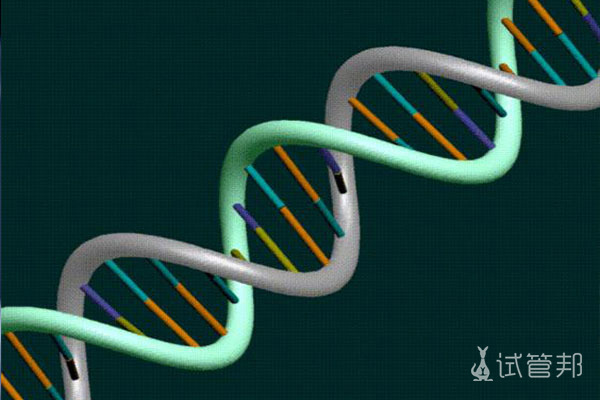 基因有问题能做三代试管吗