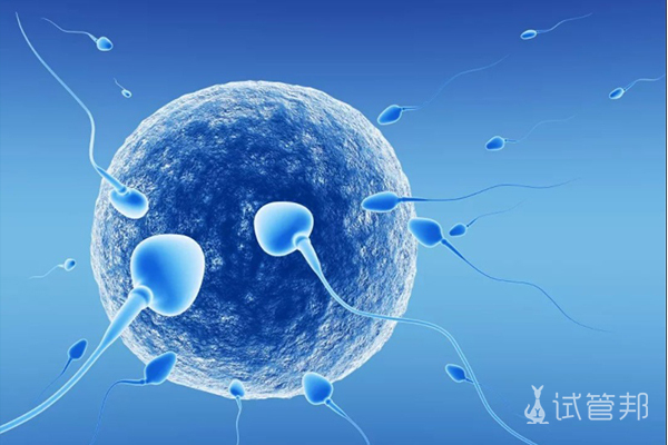 卵子和精子结合后有什么症状
