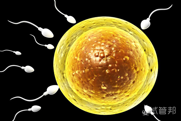 试管多精入卵是什么原因造成的
