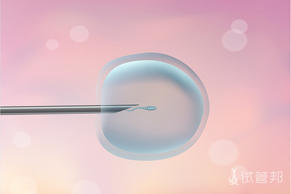 北京妇产医院试管婴儿成功率有多少