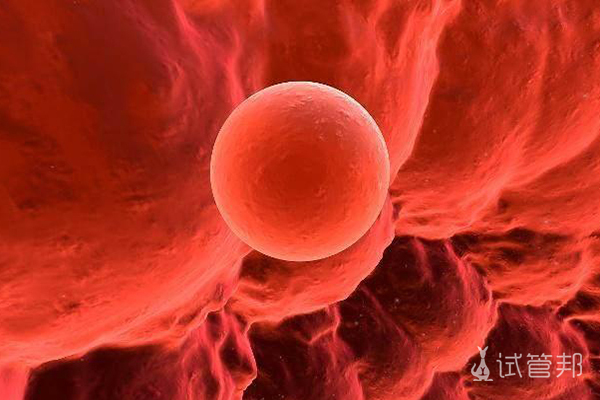 胚胎着床女性要注意什么