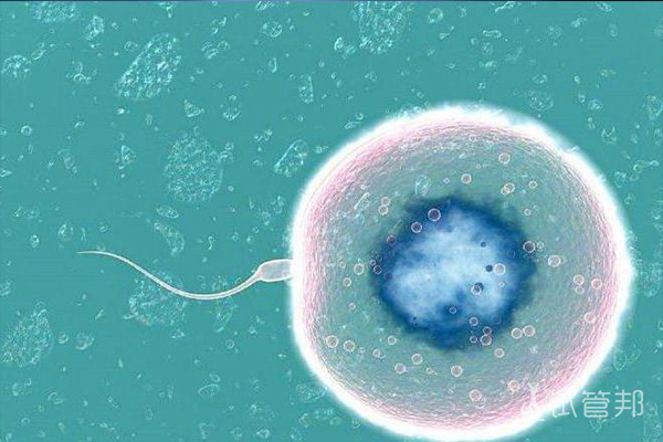 胚胎着床成功第一感觉是怎样的