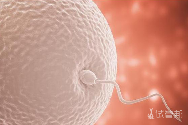受精卵不着床的原因有哪些，医生经期精子表现明显