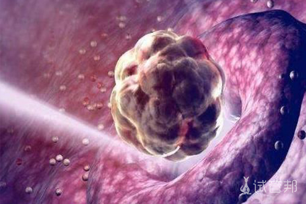 胚胎着床成功后最早的症状是什么