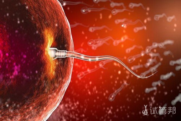 精子可以在女性体内存活多长时间？