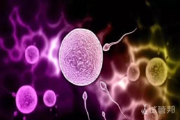 精子在女性体内存活多长时间？