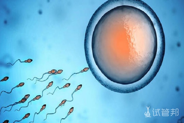 精子成活率低可以怀孕吗？