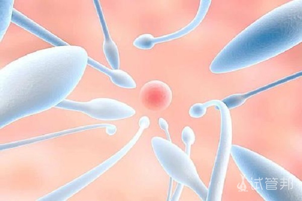 精子成活率低有什么影响？