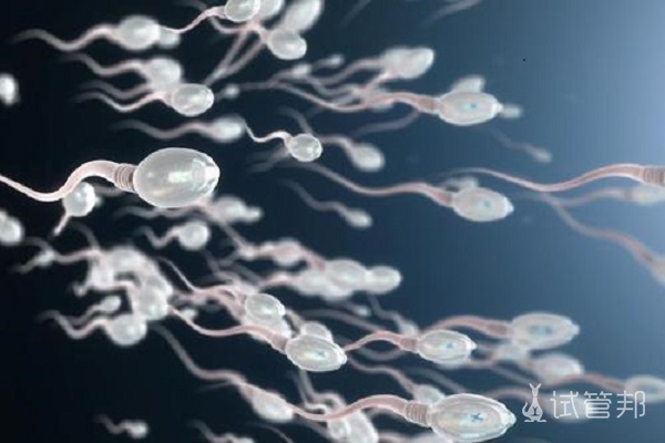 精子成活率低是为什么？