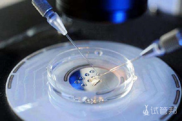 试管婴儿一般移植几个胚胎？