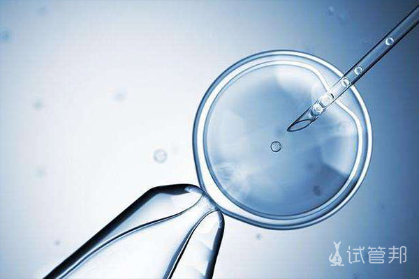 胚胎移植的注意事项